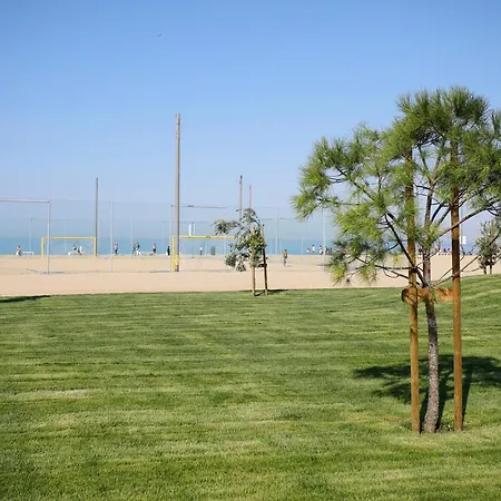 Costa Terrace